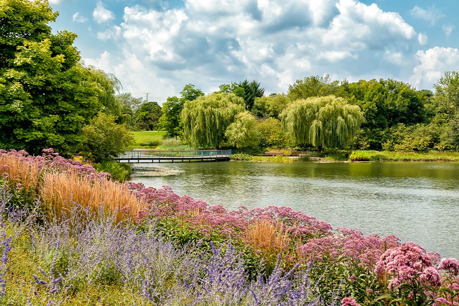 About Our Agency - Summer Landscape of Chicago Botanic Garden in Illinois